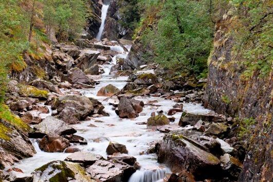 Araku Day Trip