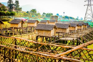 Cottage Top Side View