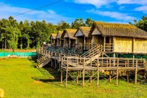 Cottages Outside View