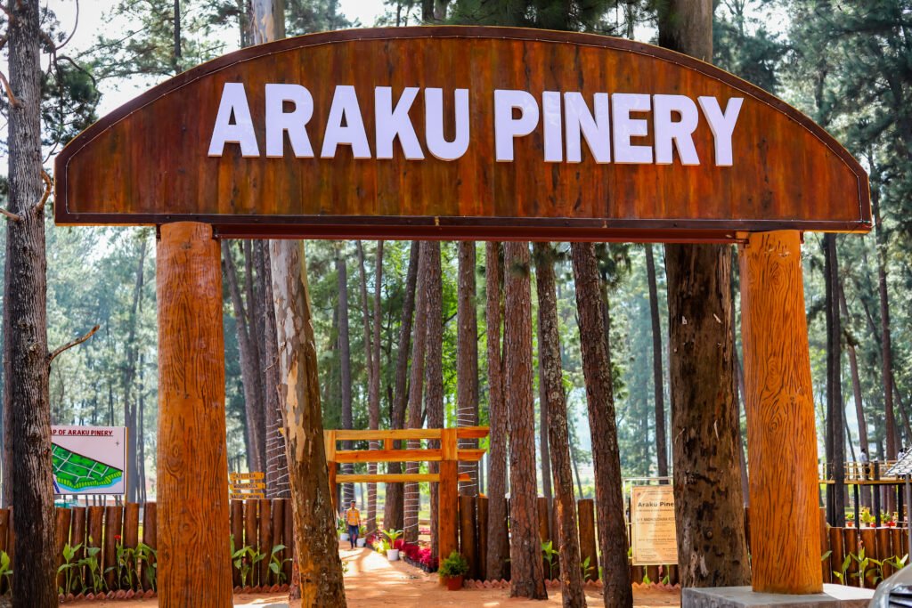 Araku Pinery