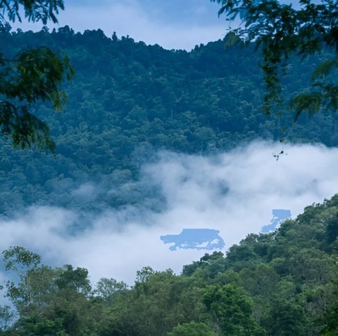 Araku Lambasingi Tour 1 N 2 D