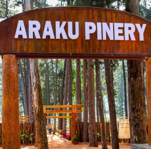 Araku Pinery