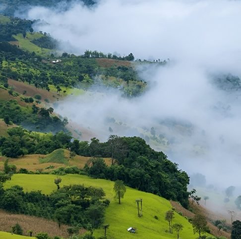 Vizag, Araku & Lambasingi 6 D 5 N​​